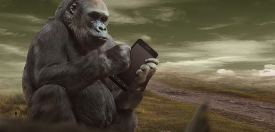 FX自動売買システム「ゴリラEA（Gorilla）」